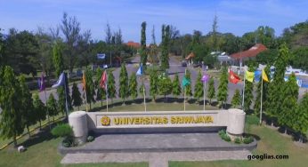 Daftar Universitas Terbaik Di Indonesia 2023