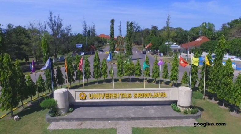 Daftar Universitas Terbaik Di Indonesia 2023
