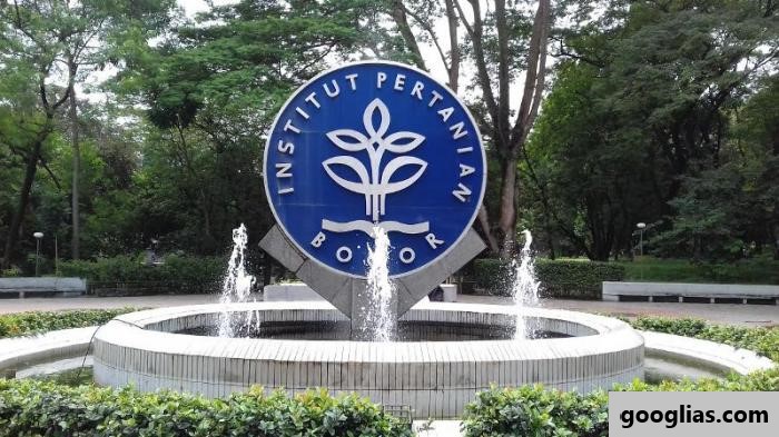 Daftar Universitas Terbaik Kota Bogor 2023