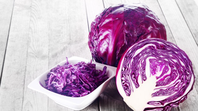 Menyelami Keunggulan Universitas Bung Karno sebagai Pusat Pendidikan